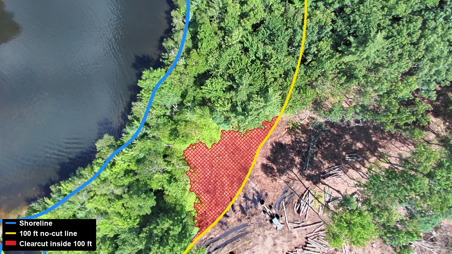 Drone close-up of the cove: the shoreline, the 100 ft no-cut line, and the clearcut inside it shaded red